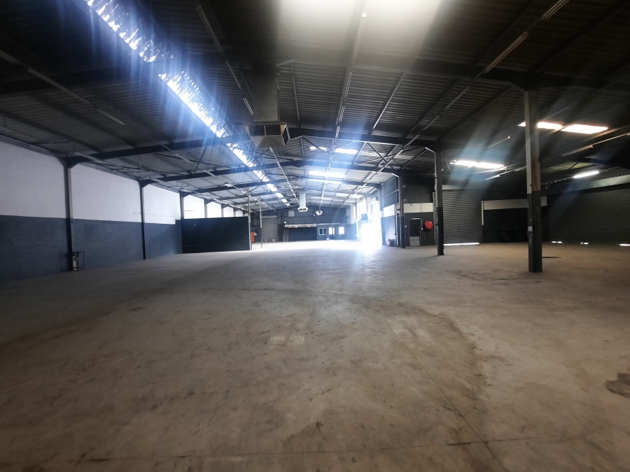 To Let commercial Property for Rent in Ottery Western Cape